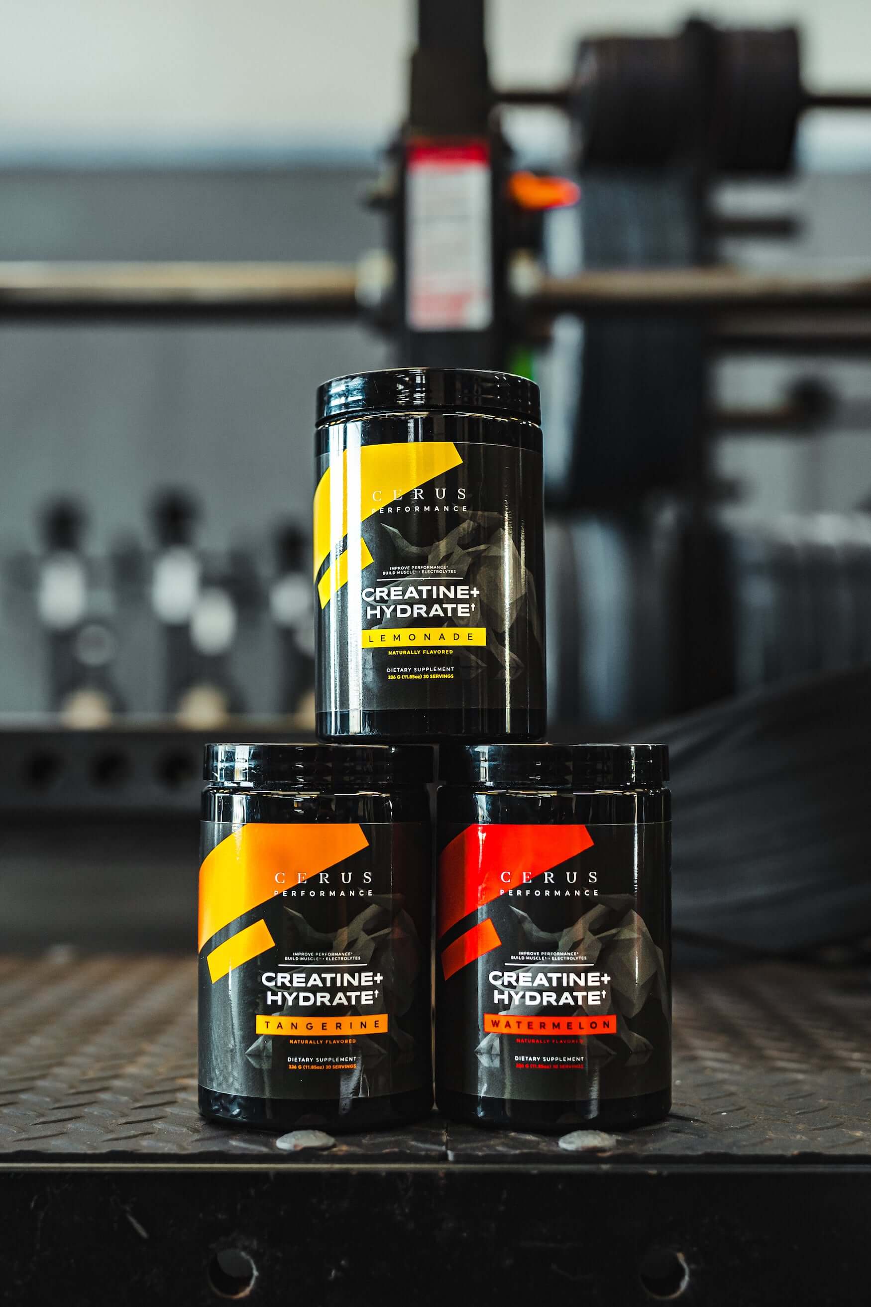 Creatine and Cognition Function