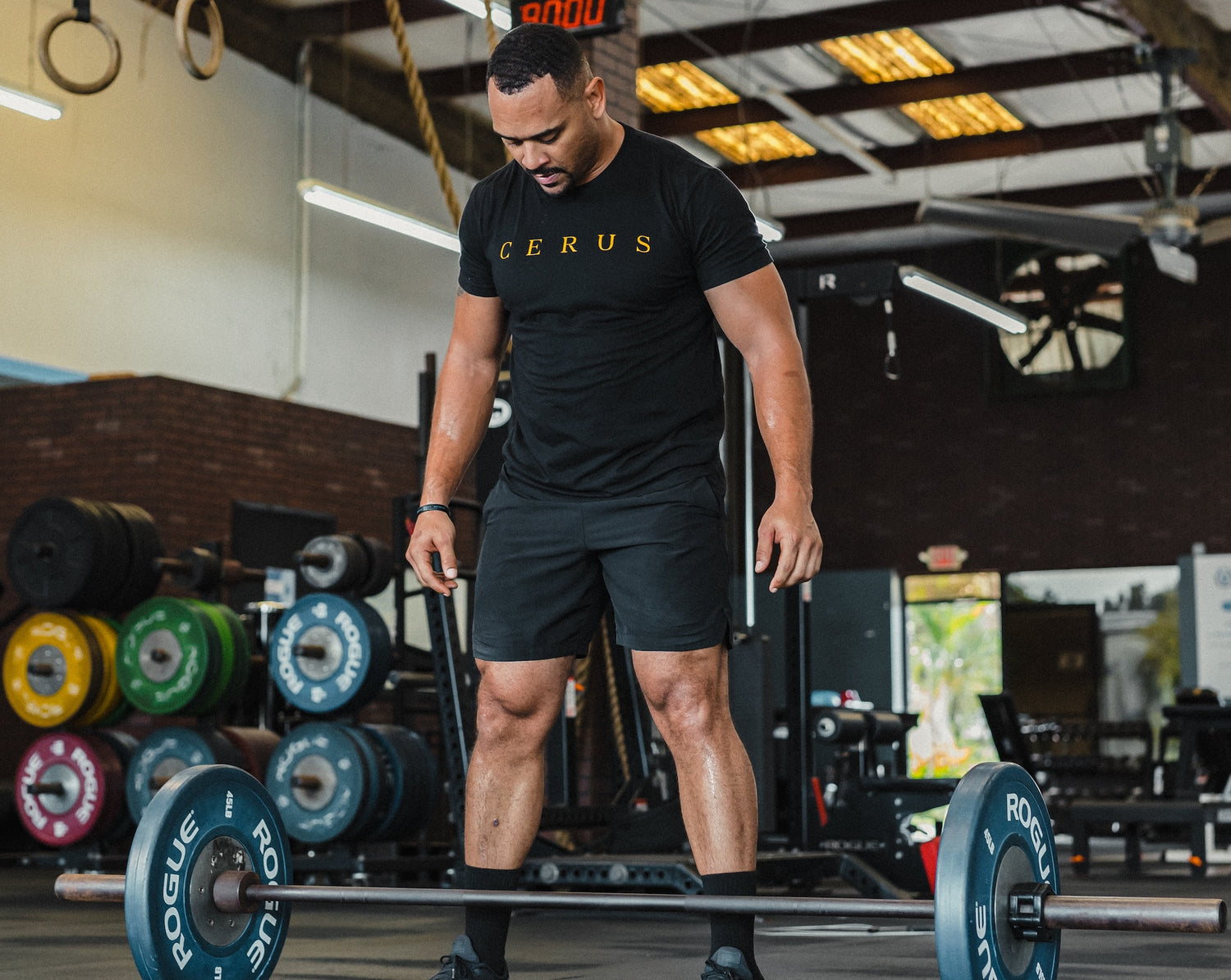 Rhodiola: A Must-Have for High Performers