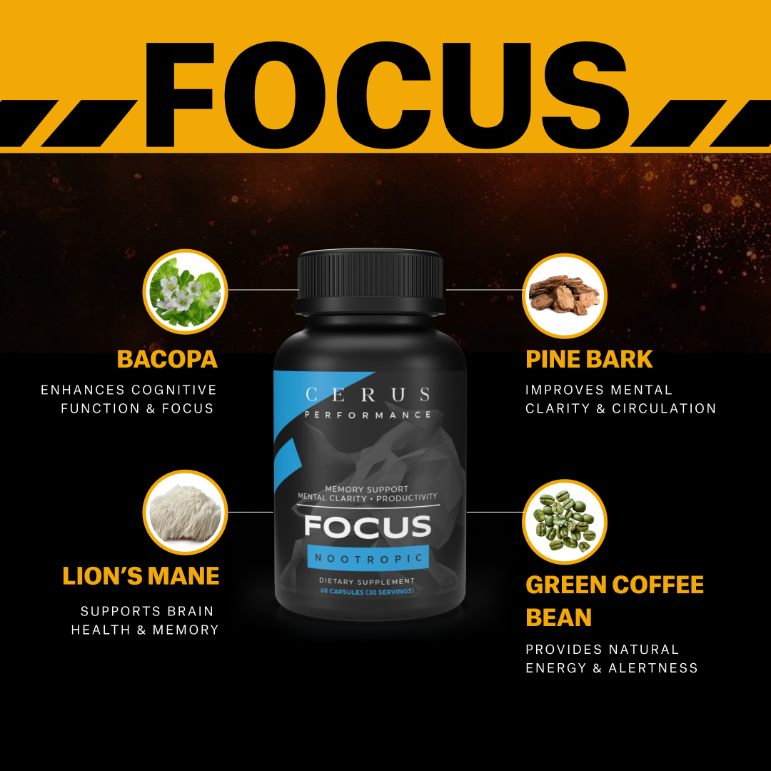 FOCUS --