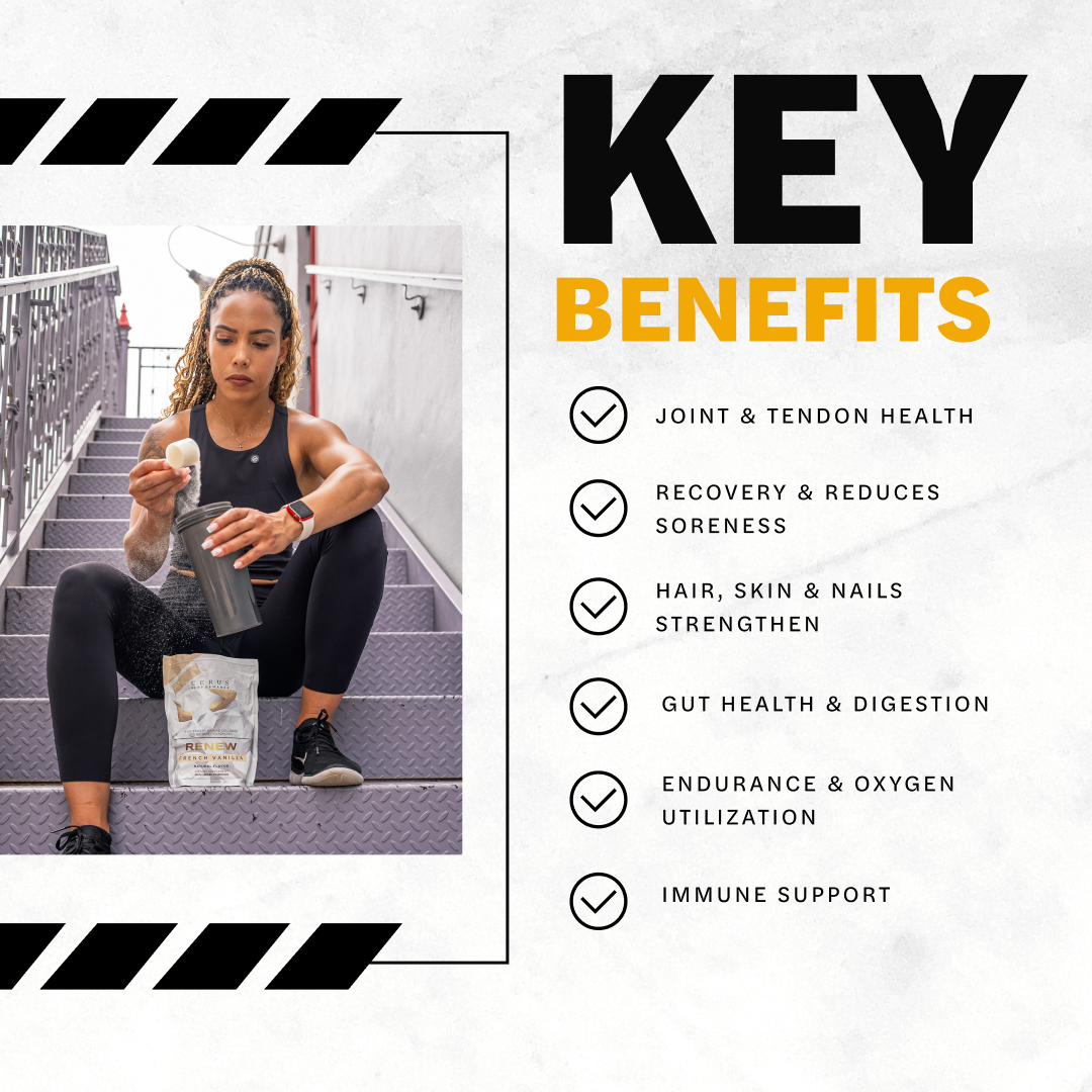 CERUS™ Renew – Performance Collagen for Athletes | 30 Servings