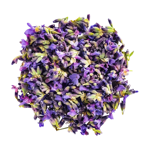 Lavender Bud