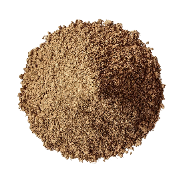 Reishi